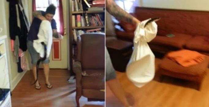 Video: Brave woman catches snake using pillow case