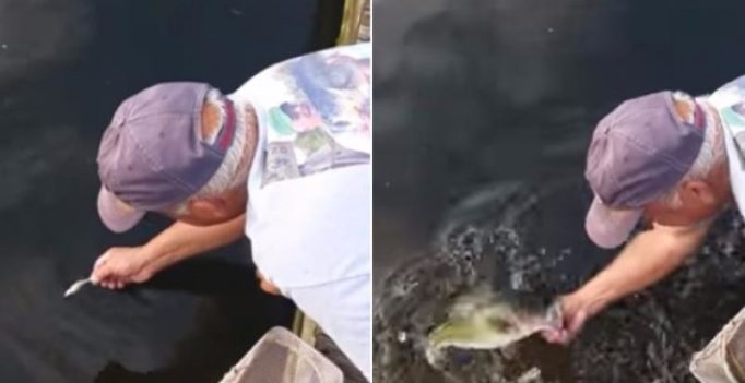 Video: US Man catches fish with bare hands, makes it look surprisingly easy