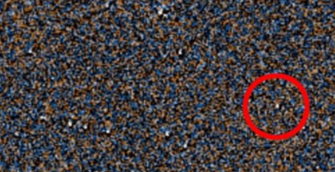 Citizen scientists uncover cold new world near Sun