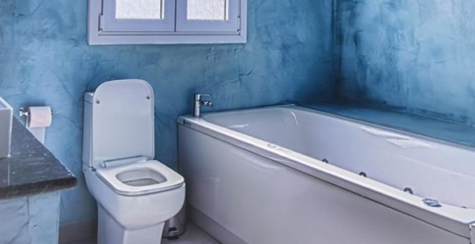 Flush after use! Thief leaves toilet dirty, US police uses faecal DNA to find him