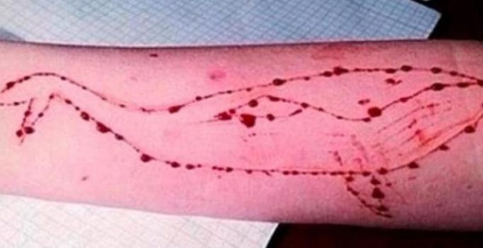 Pune: Teenager leaves home for ‘Blue Whale’ challenge; rescued