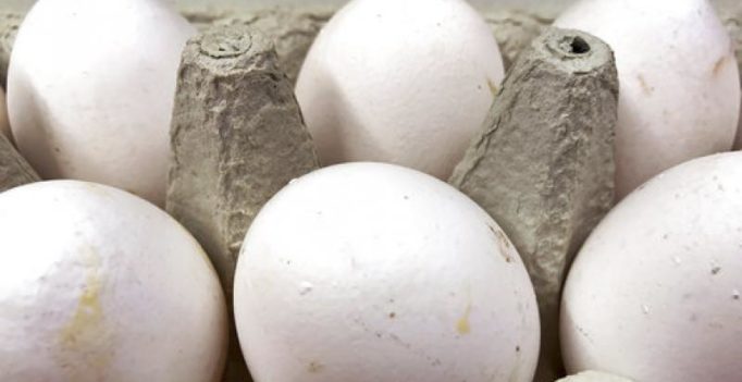 EU: 17 nations get tainted eggs, products in growing scandal