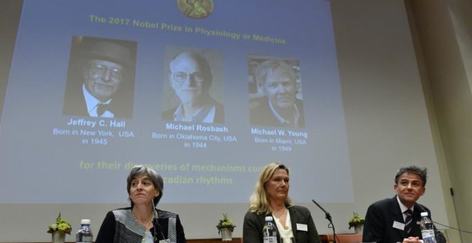 Nobel Prize for medicine goes to 3 American scientists for body rhythm work