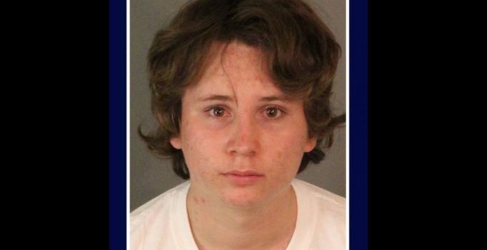 California teen admits to molesting 50 children, mother hands him over to police