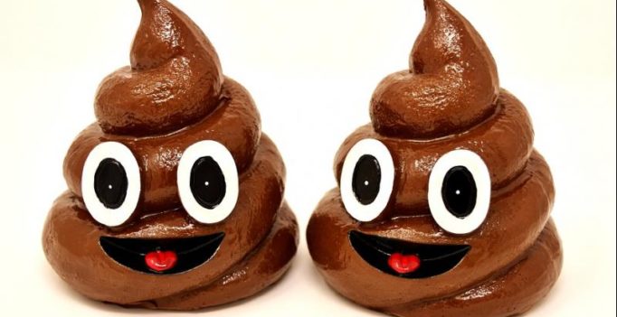 Bizarre: Driver claims human poop fell from sky and hit her eye