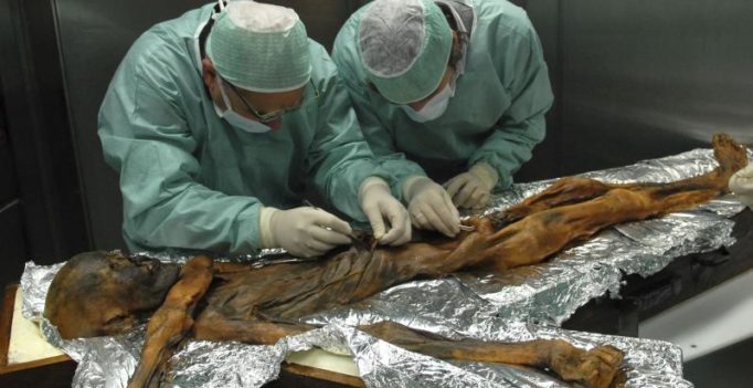 Scientists uncover last meal of ancient ‘iceman’
