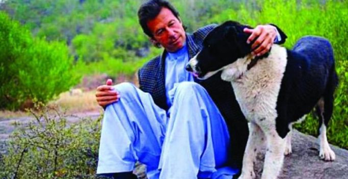 Imran Khan’s pet dogs get their own Wikipedia page