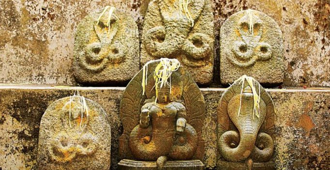 Andhra govt plans ritual to appease snake god after 100 fall victim to snakebites