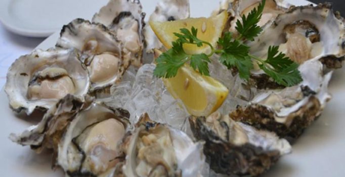 Climate change a threat to oysters