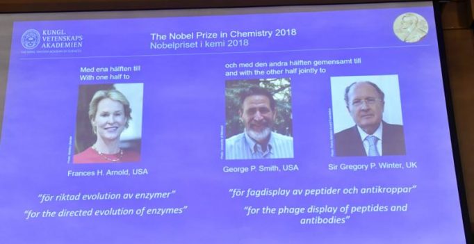 Trio win Nobel Chemistry Prize for research harnessing evolution