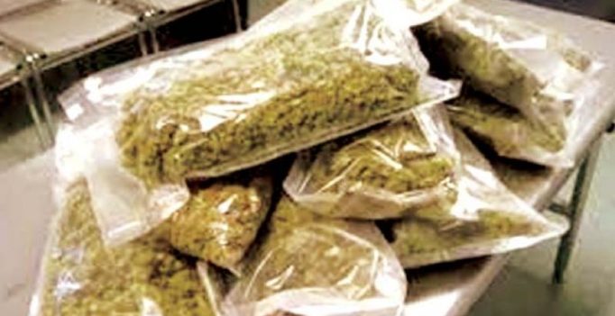 Man held for smuggling drugs at Kempegowda International Airport