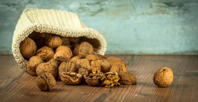 Walnuts a boon for reigning lifestyle ailments, says study