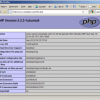 How To Set Up Apache2 With mod_fcgid And PHP5 On Ubuntu 10.10