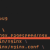 How to Install nginx and google pagespeed on Ubuntu 15.04 (Vivid Vervet)