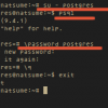 How to Install Postgresql and phpPgAdmin on Ubuntu 15.04