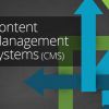 6 top content management systems compared