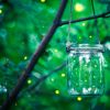 Does finding that micro-moment feel like chasing fireflies? Here are 9 data points that will help you catch them.