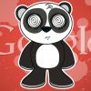 Google Panda 4.2 Is Still Rolling Out