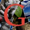 Google Confirms Adding New Image Search Filter Buttons To Mobile